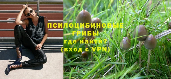 ALPHA PVP Абинск