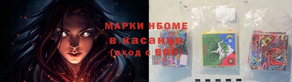 индика Алексеевка