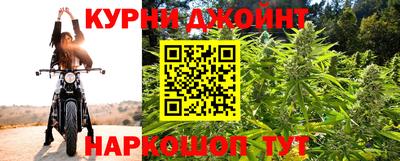 эйфоретик Кингисепп