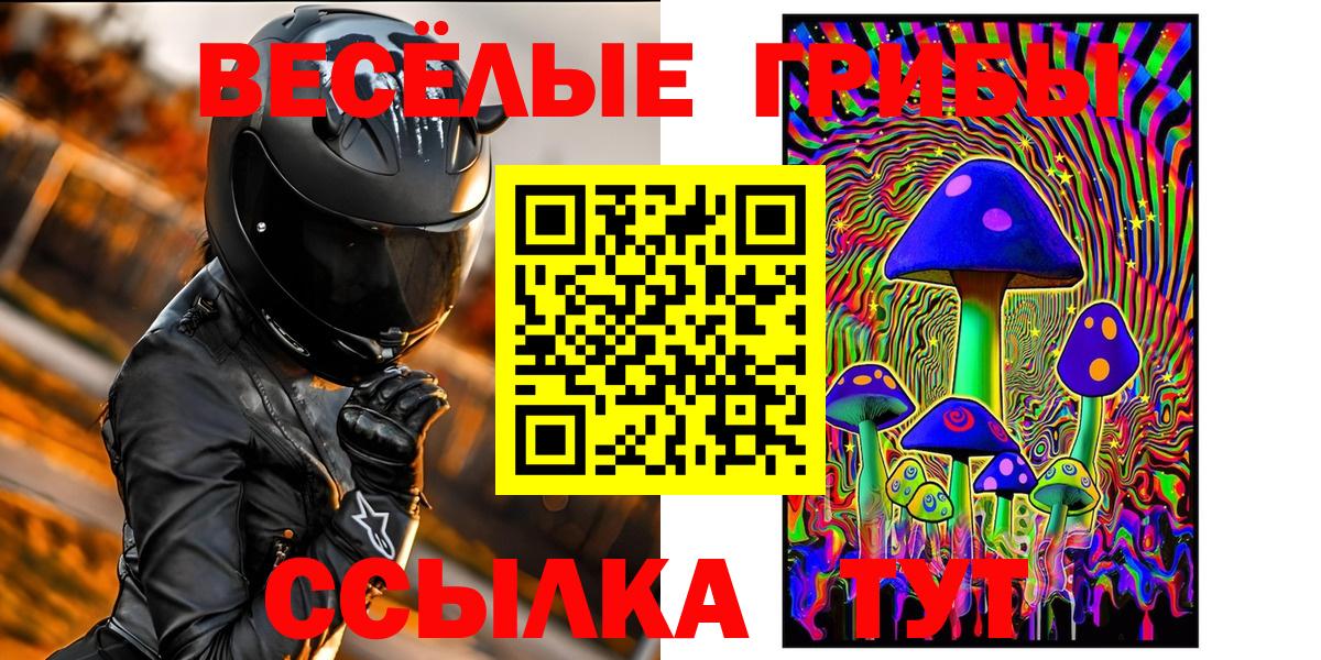 Псилоцибиновые грибы Psilocybine cubensis Кострома