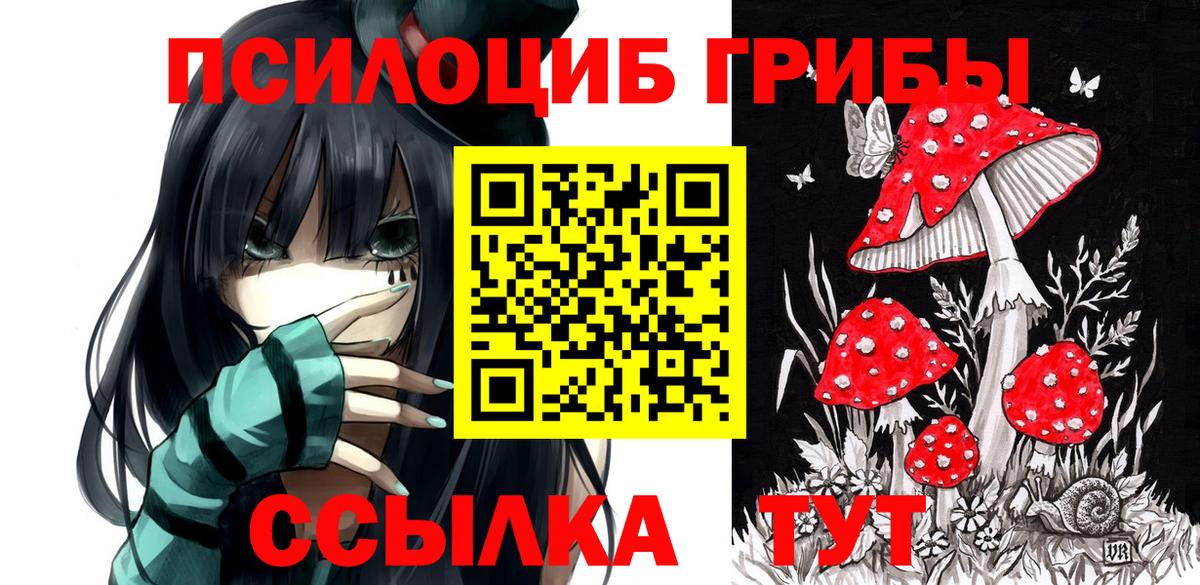 Псилоцибиновые грибы мицелий  где купить наркоту  Кострома  Вход с VPN 